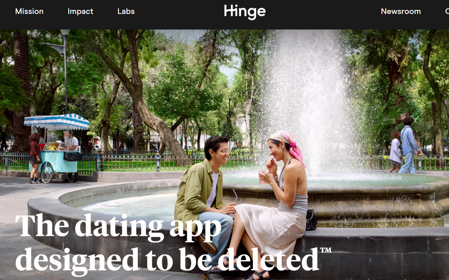 Apercu du site Hinge