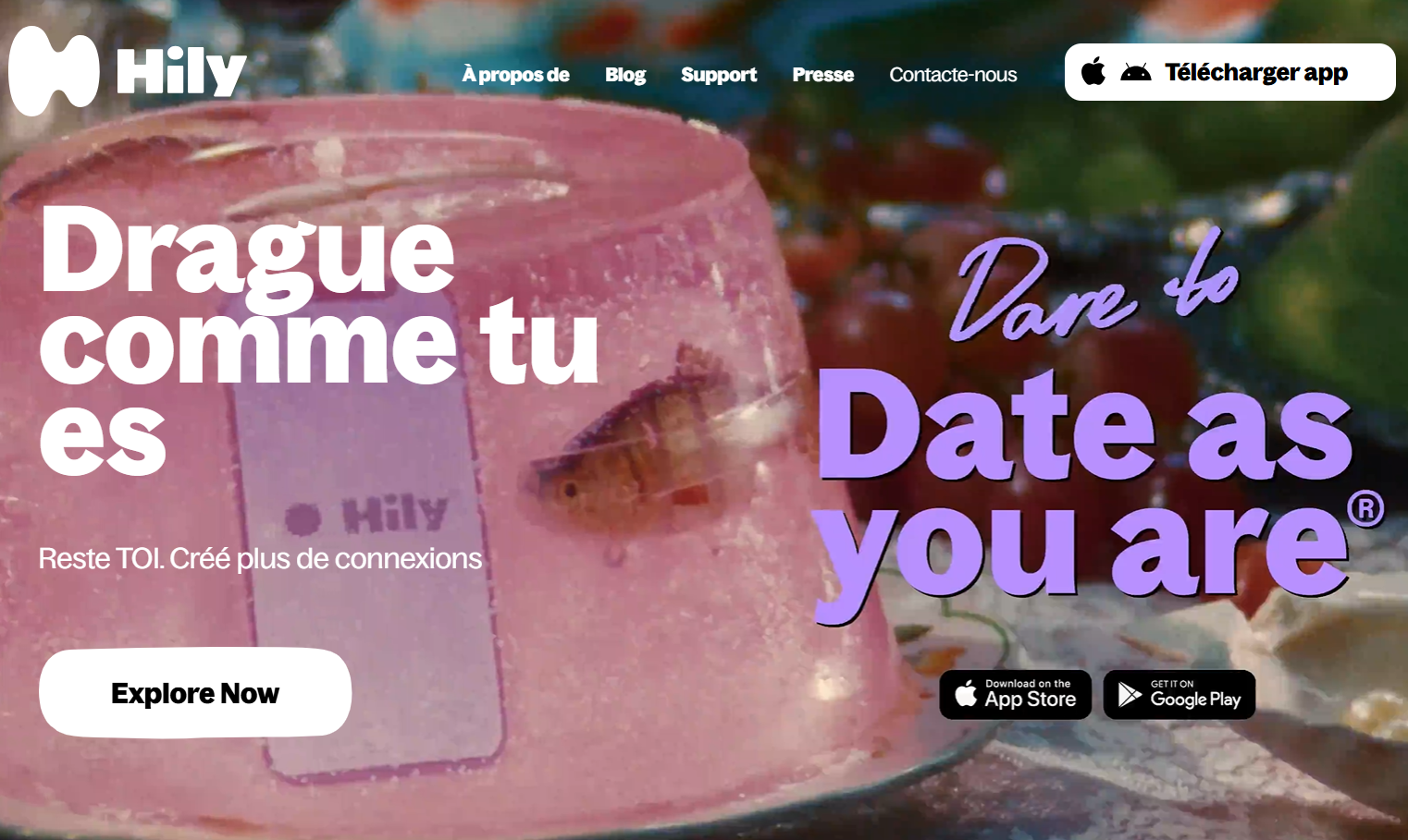 Apercu du site Hily